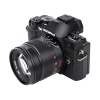 55mm objektiv 7artisans olympus panasonic micro43