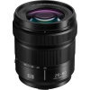 Panasonic Lumix S 20-60 mm f/3.5-5.6 (bulk balenie)