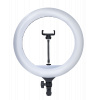 Ringlight 14 03