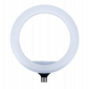 Ringlight 14 01