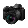 lumix s5
