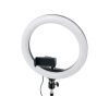 Kör alakú Ring light lámpa 10" + 2 méteres állvány  3000K-6500K, 2,1 m-es állvány, okostelefon-tartó
