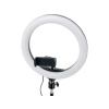 Lampa pierścieniowa Ring light 10" + statyw 2 metry  3000K-6500K, stativ 2.1m, držák pro smartphone