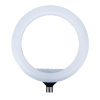 Ringlight 14 01