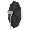 newell paraply softbox 1