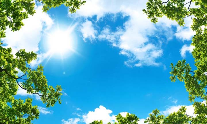 Produkty pro zachycování uhlíku