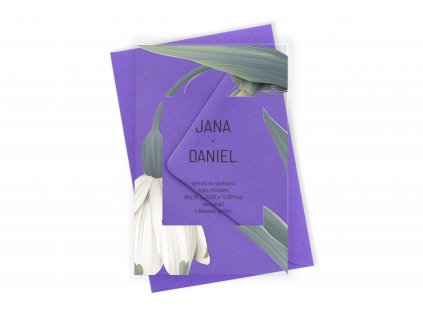 OZN bledule02 new plexi01SVK