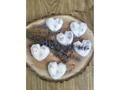 5F487FA9 3A7F 48D0 95FE 8D9D4E509DC8