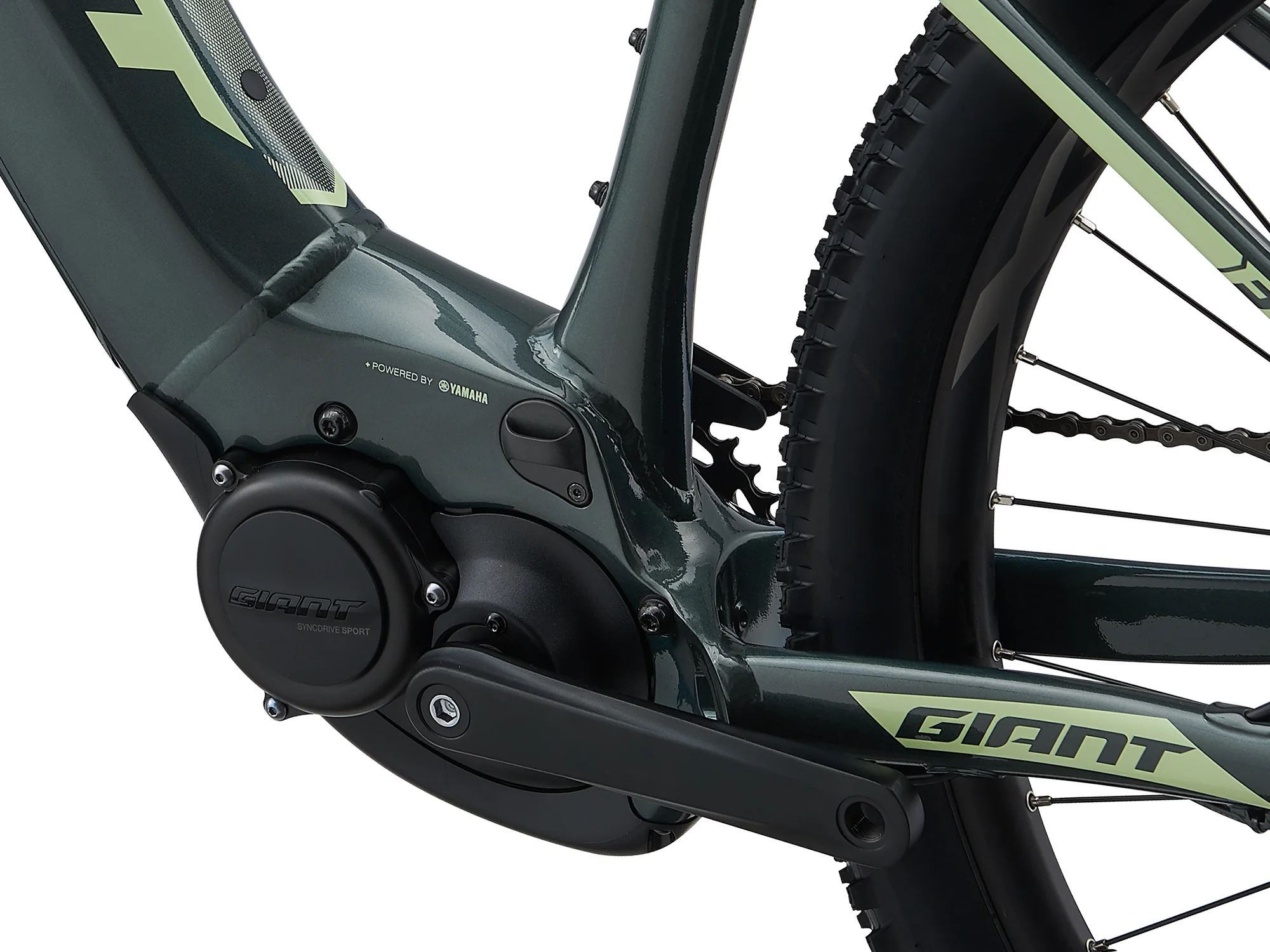 Motor SyncDrive Sport u středu rámu horského elektrokola Giant Fathom E+ s logem GIANT na spodní trubce