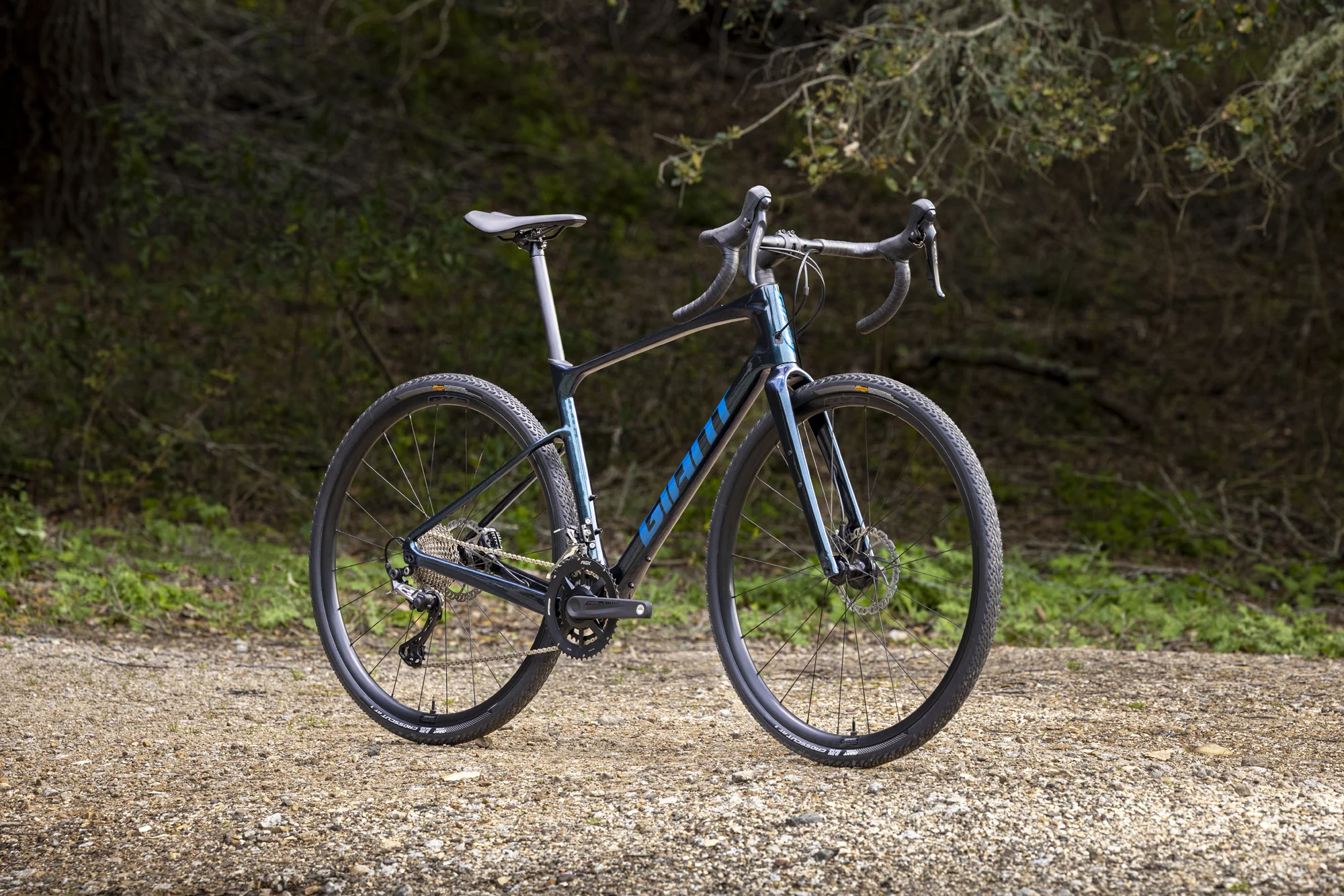 Karbonový gravel Giant Revolt Advanced stojí na šotolinové cestě před lesem