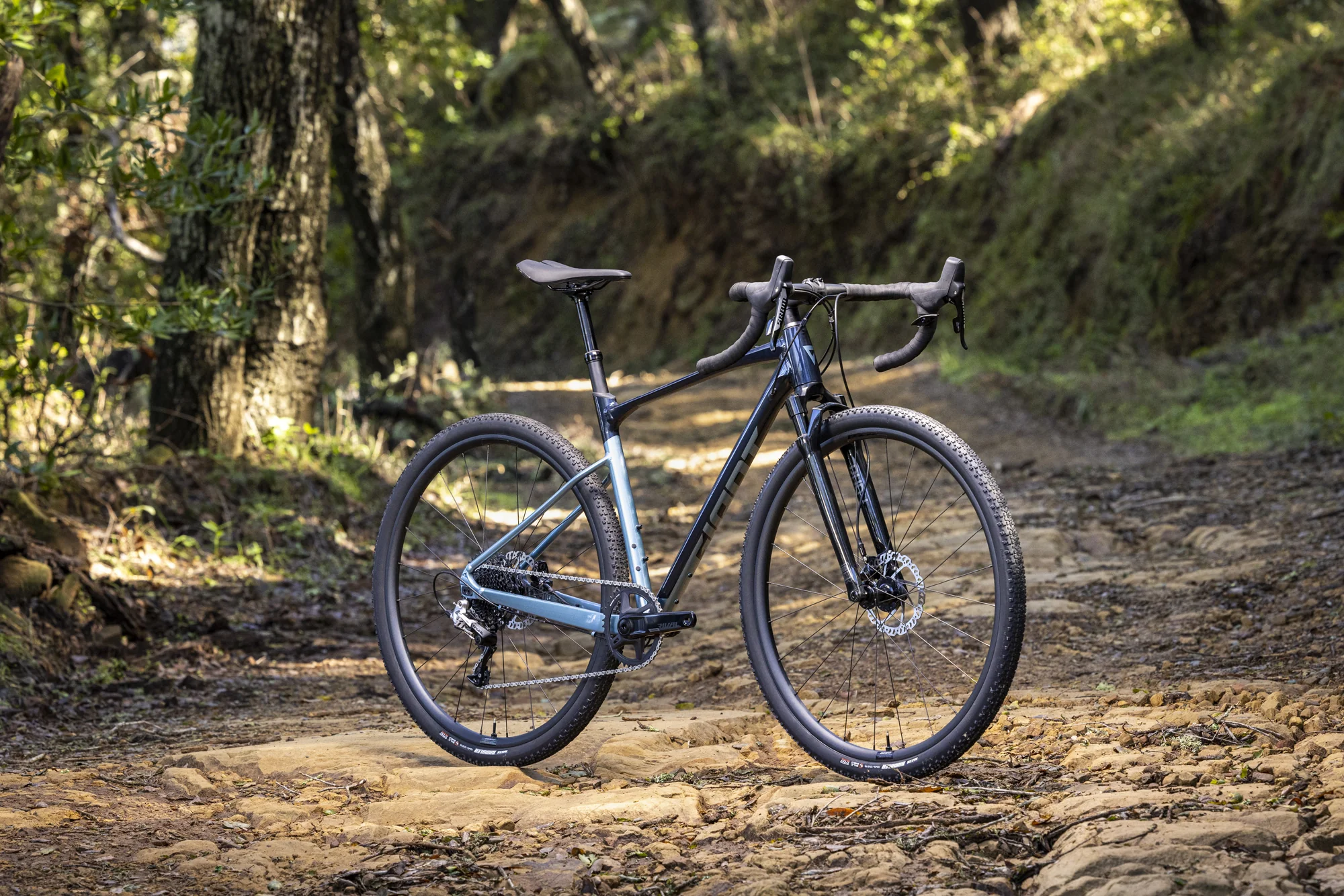 Gravelové kolo Giant Revolt X 1 v barvě Cold Night z boku na lesní cestě