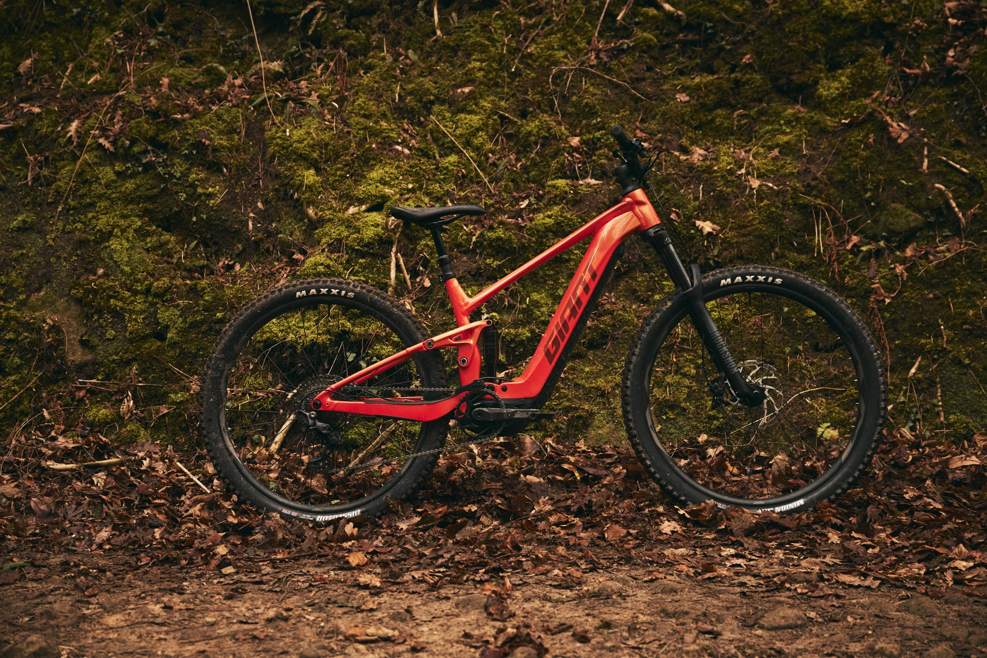 Elektrokolo Giant Stance E+ stojí v lese mezi spadaným listím