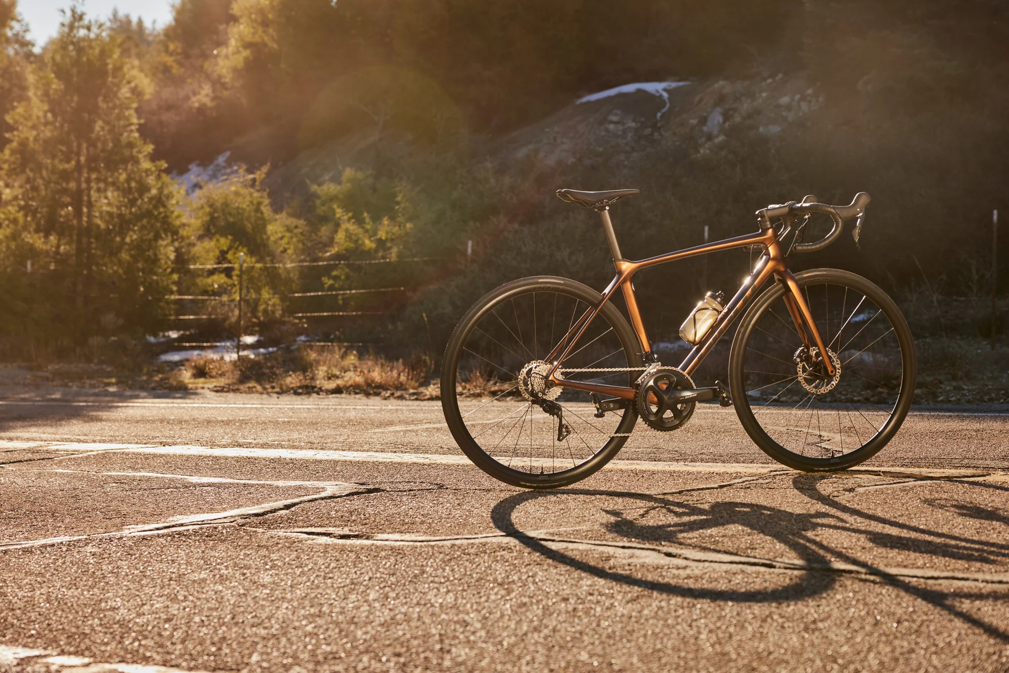 Silniční kolo Giant TCR Advanced 2 Disc-Pro Compact na asfaltové silnici v nízkém slunci