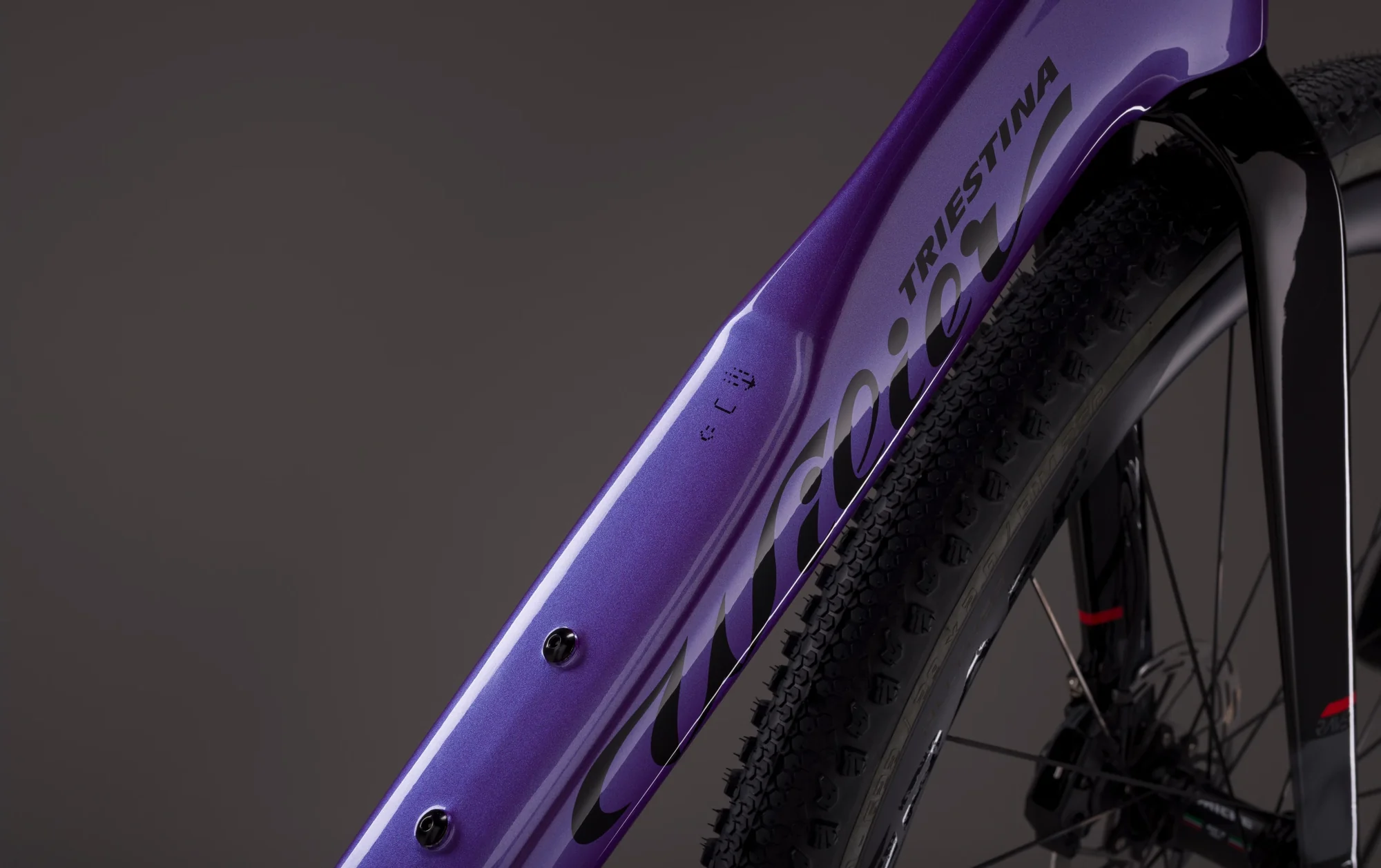 Mohutná aerodynamická spodní trubka a vidlice rámu Wilier Rave SLR ID2