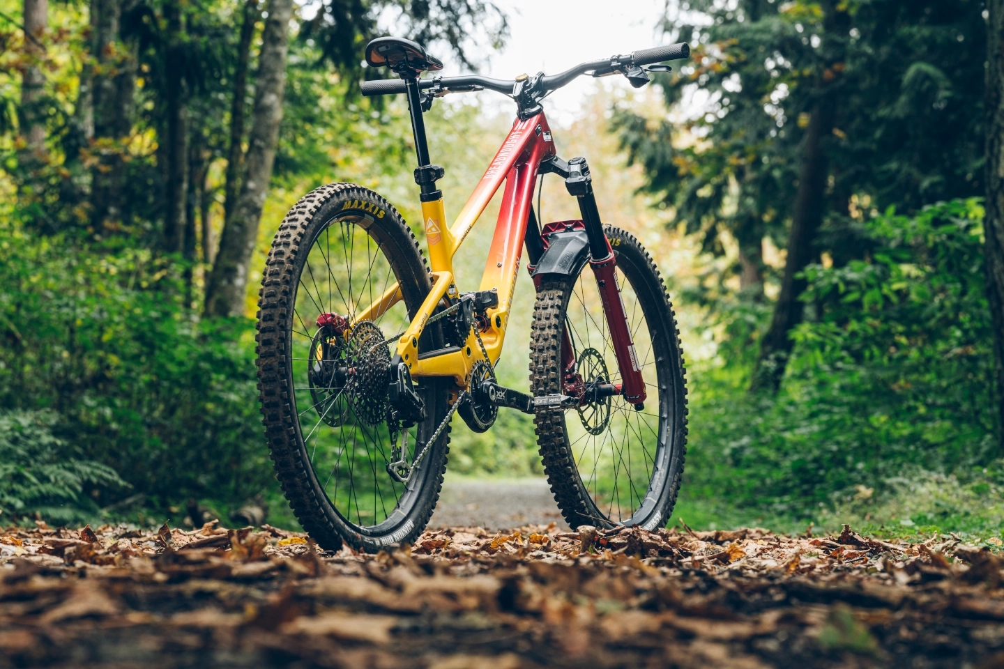 Enduro kolo s plně vysunutou sedlovkou RockShox Reverb AXS na lesní cestě