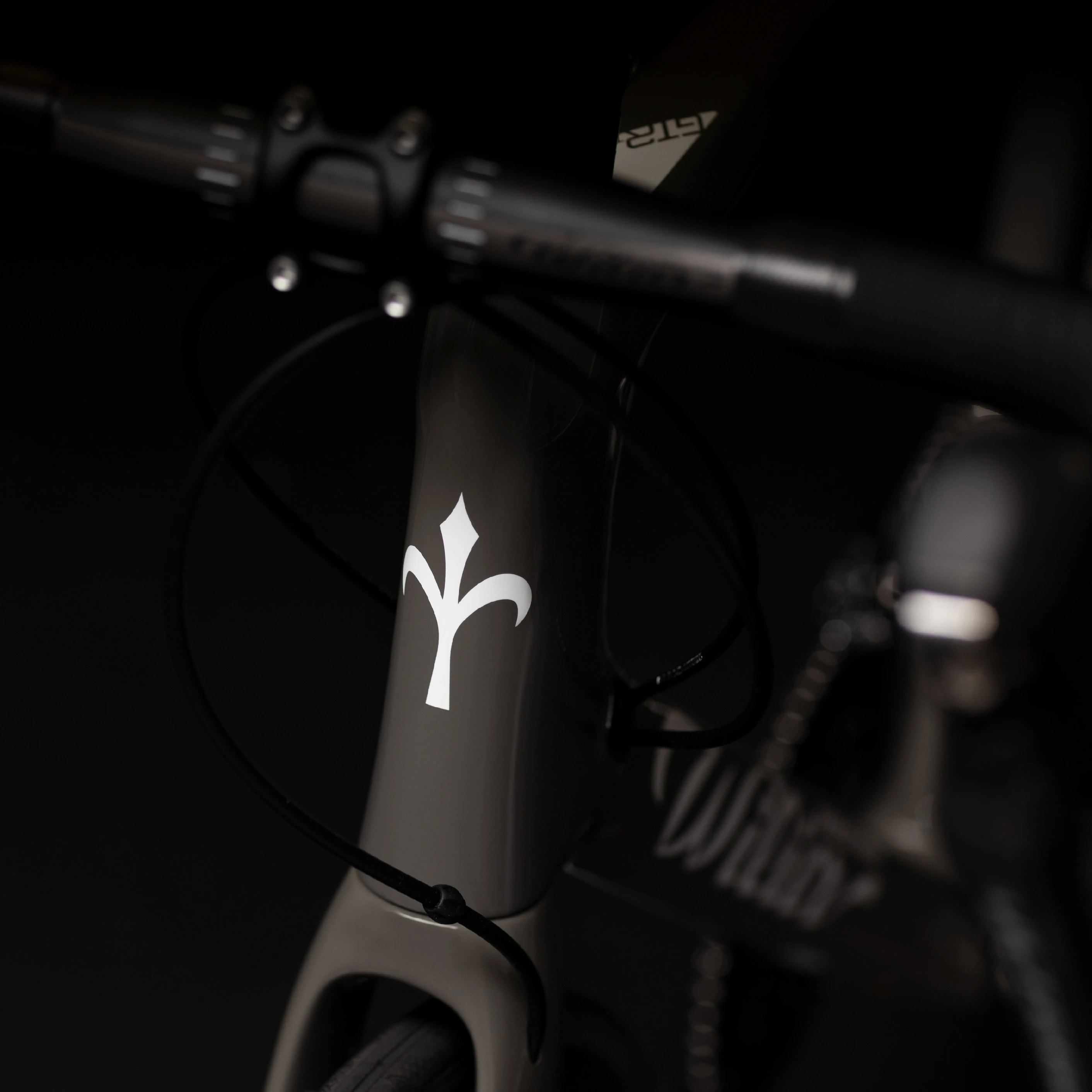 Hlavová trubka a vidlice rámu Wilier GTR Team Disc s logem Wilier a vedením brzdové hadice
