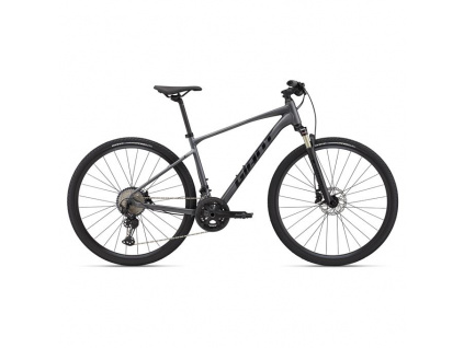 Giant Roam 0 Disc 2022, Charcoal