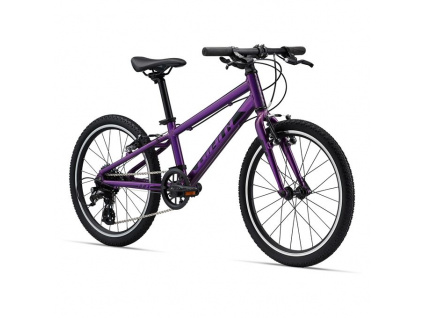 Giant Arx 20, Purple