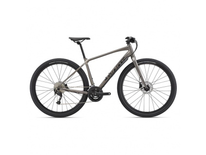 Giant Toughroad SLR 2 2022, Metal