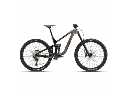 Giant Reign Advanced Pro 2 2023, Orion Nebula / Carbon