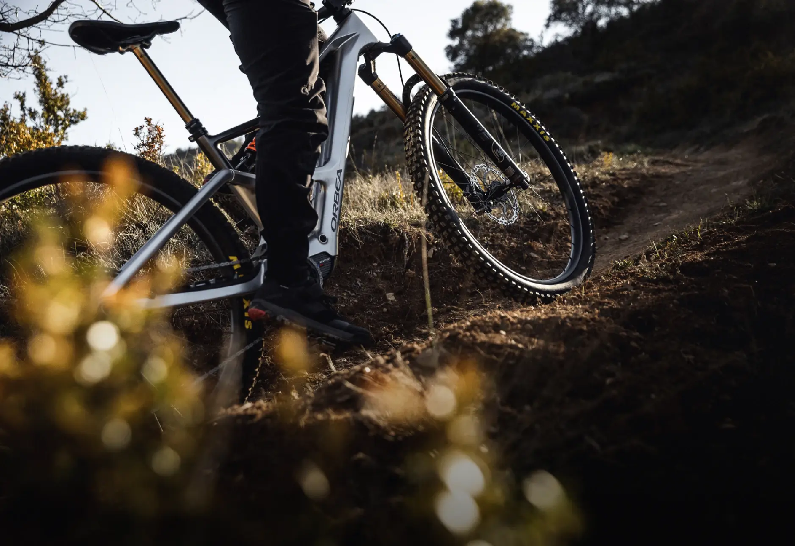 Orbea Rise SL H10 Escape Green — pohled z boku