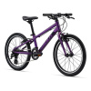 Giant Arx 20, Purple