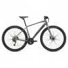 Giant Toughroad SLR 2 2022, Metal