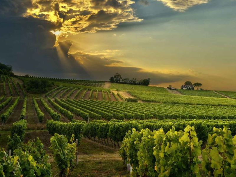 Poznejte slunný region Côtes de Gascogne