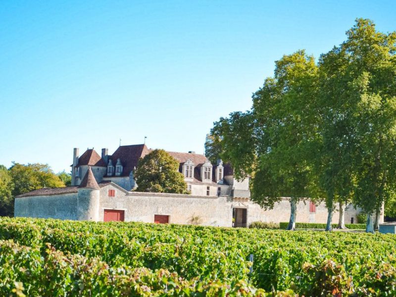 Představujeme naše vlajkové vinařství Château Le Grand Verdus