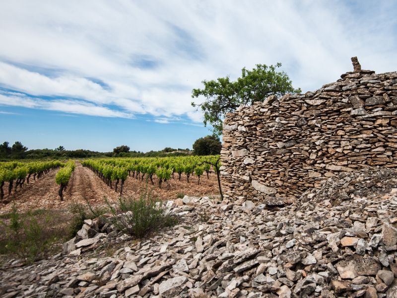 Srdce Languedocu – když terroir vypráví příběh