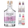 Chateau Montifaud Osmoz Gin Citrus 0,7l 46% + 4x Double Dutch 0,2l ZDARMA