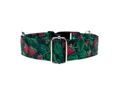 Obojek Raspberry