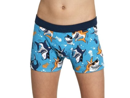 Snímka obrazovky 2025 07 16 205514