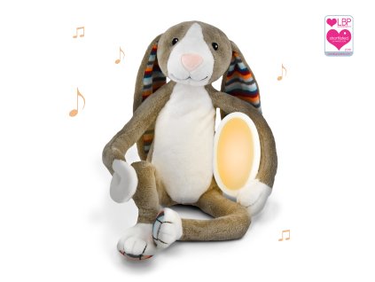 BO Product shot AWARD 2400x1875 1