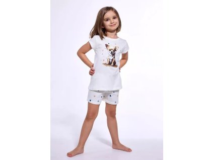 Snímka obrazovky 2025 06 24 203802