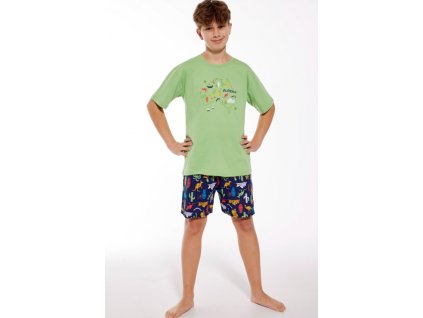 Snímka obrazovky 2025 06 24 211957