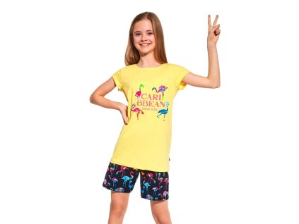 Snímka obrazovky 2025 06 24 214619