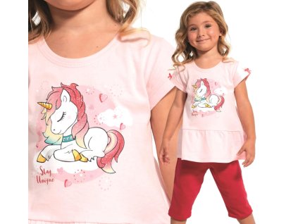 Snímka obrazovky 2025 06 25 125403