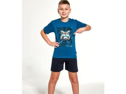 Snímka obrazovky 2025 06 25 131829