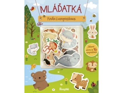 Snímka obrazovky 2026 02 12 124810