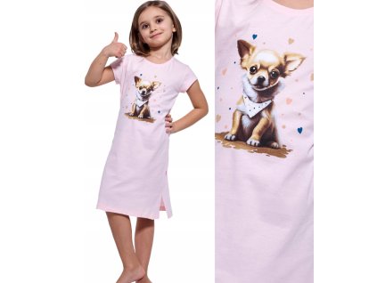 Snímka obrazovky 2025 06 25 132642