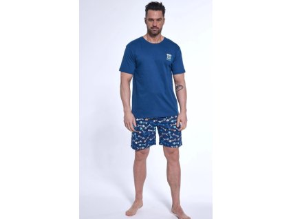 Snímka obrazovky 2025 06 26 135013