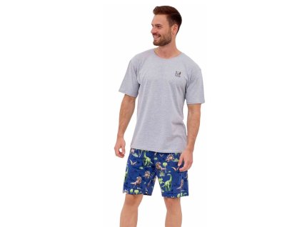 Snímka obrazovky 2025 06 26 135558