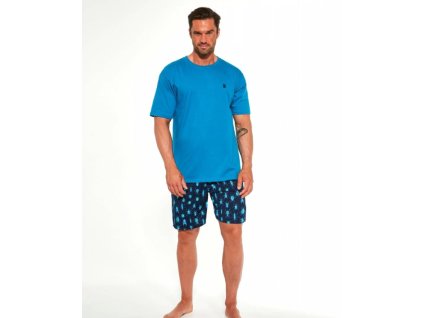 Snímka obrazovky 2025 06 26 143106