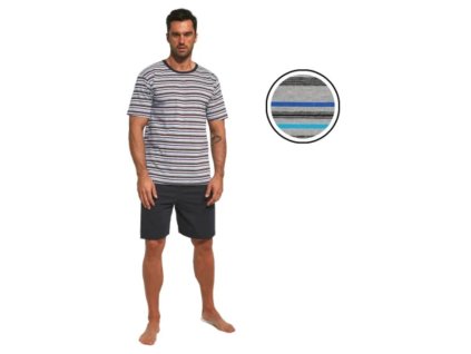 Snímka obrazovky 2025 06 26 144019