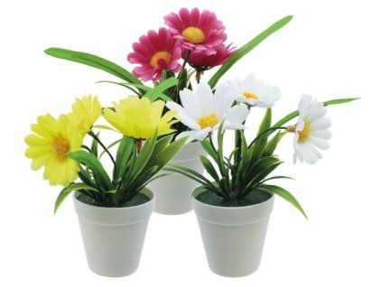 6868A6EC 0881 4B32 9319 7DBC7AFCCD9C