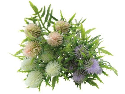 E7313582 069D 4CCA 8563 5D0BE46D2E1E