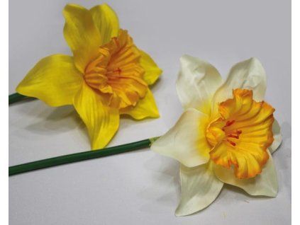 1725803C FA86 4E21 9F19 B5C703A6681D