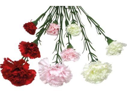 31EA3311 A66F 4689 BA6E 1928B15CB84F