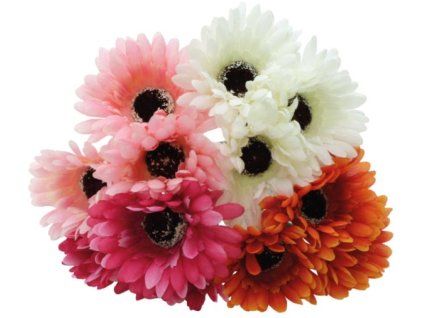 B36B2305 5C52 4BCF 99CB 42881DD39C78